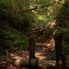 autumnel9